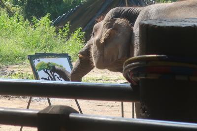 個人手配・2019年12月 夫婦で行くバンコク・チェンマイの旅 その2