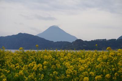 池田湖～西大山駅～鰻池～霧島神宮