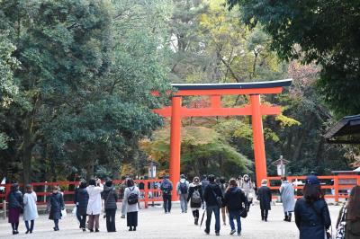 下鴨神社から糺の森や河合神社を歩く午後のひととき＋京都駅イルミネーション