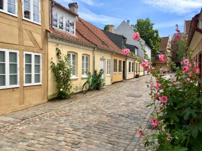 北欧一人旅☆童話作家アンデルセンの故郷「オーデンセ」