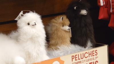 南米マチュピチュ・イグアスの滝を目指す旅2019①