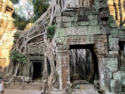 天空の城ラピュタの世界！廃墟寺院に大樹が生茂るタプローム（アンコール遺跡群）