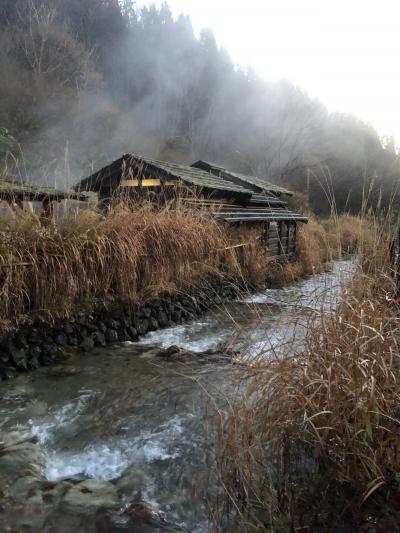 憧れの鶴の湯へ、こまちで