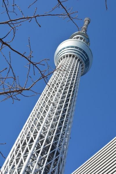 子連れでスカイツリーからのディズニーランド