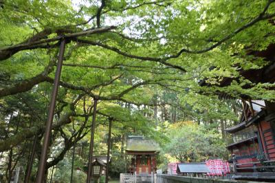 秋の山中湖/河口湖♪　Vol.15　☆富士吉田：「北口本宮冨士浅間神社」庭園を愛でる♪