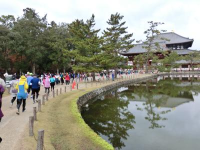 奈良マラソン2019　10キロコース出場とフルマラソン応援