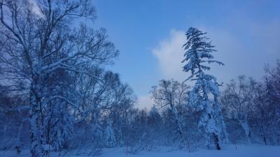 201912,初滑りテイネスキー場は暴風極寒,年明け札幌国際スキー場は晴れ！