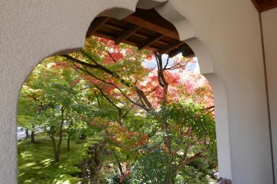 2019秋の京都 永観堂と南禅寺でもみじ狩り