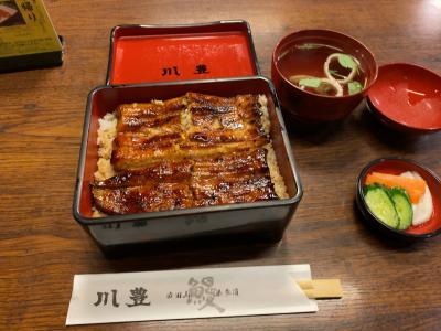 初めての成田山新勝寺