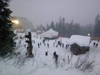 バンクーバー5日間　2日目「グラウスの雪」