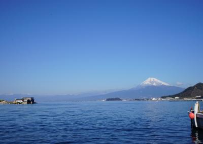 2020.1 あわしまマリンパーク～沼津・富士山