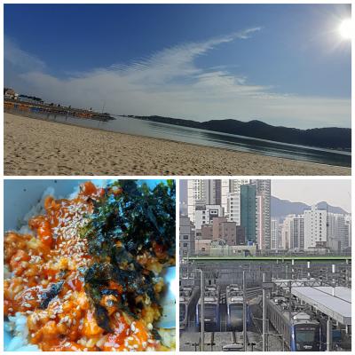 釜山冬旅2日目　東海線乗ってウニ丼食べに行こ！