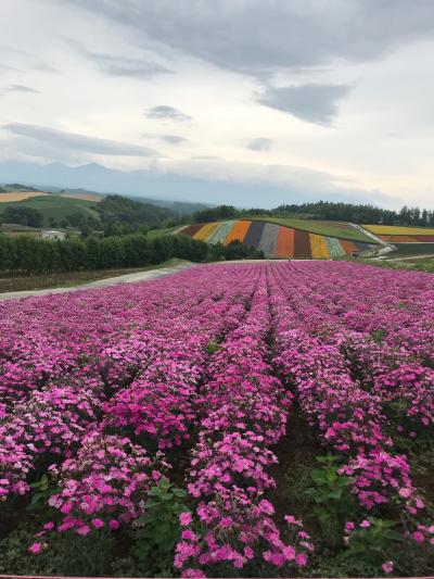 2019年7月夏休み北海道家族旅行３泊4日③