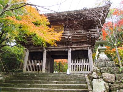 2019紅葉めぐりの旅5　高知・竹林寺と佐川、土佐三名園を巡る旅