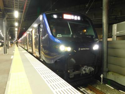 2019北東パスで旅納め！列車１００本乗れるかな？vol.9（相鉄電車で新横浜線編！）