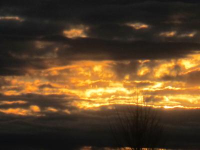 =番外編=Playback2020 東京オリンピックは延期 新型コロナに振り回された一年でした