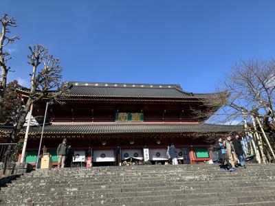 202001-01_日光で初もうで　New Year in Nikko &lt;TOCHIGI&gt;