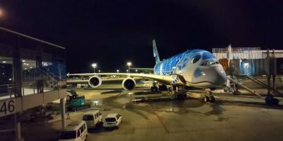 年末年始　夫婦ハワイ　プレミアムアウトレット　マラサダ