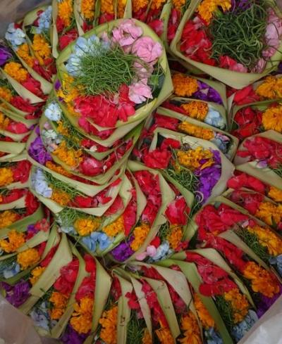 2019～2020 年末年始「映え」ないBALI＆KOMODO【前編】