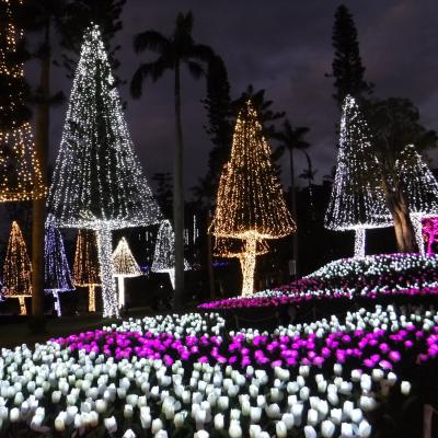 2019-2020年末年始・沖縄３・元旦の普天間宮と東南植物楽園ひかりの散歩道