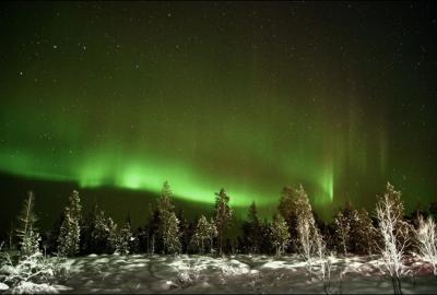 *オーロラ鑑賞と北欧街歩きの旅12日間*①サーリセルカで犬ぞり&オーロラ鑑賞