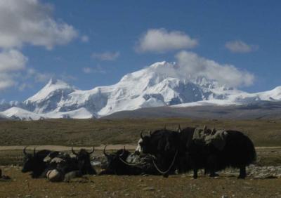 ヒマラヤ山脈　北面　大展望　２０１３年９月  ラサ・ｵｰﾙﾄﾞﾃｨﾝﾘｰ編
