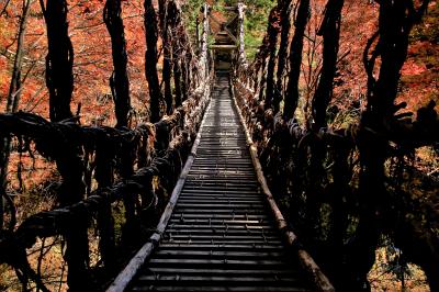 日本の絶景を求めて徳島・高松・岡山へ　（１）紅葉の奥祖谷かずら橋