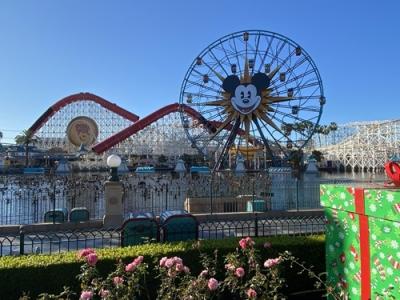 2019カリフォルニアディズニーの旅①アドベンチャーパーク