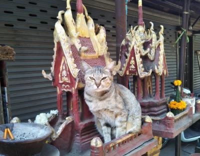 癒やしの古都ルアンパバーン～年末年始のタイ北部からラオス北部への旅～