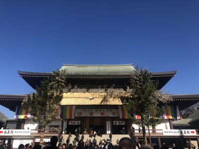 2020年成田山新勝寺初詣