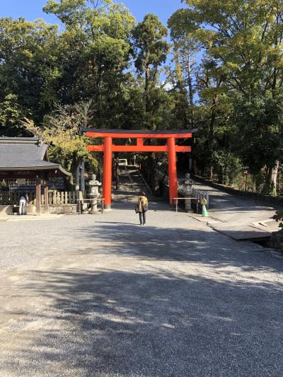 吉田山ぐるぐる