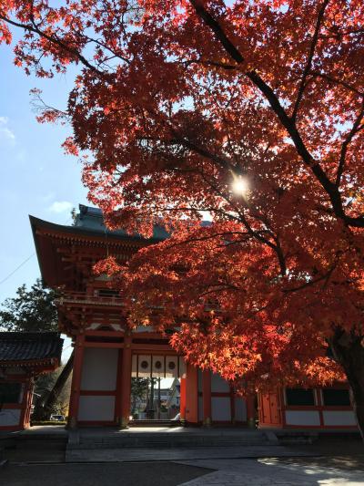 京都　間に合った紅葉  憧れだったわらび餅  久々の再会あぶり餅