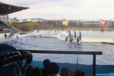 京都水族館