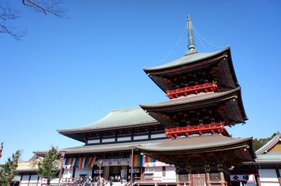 勝浦タンタンメンと成田山新勝寺