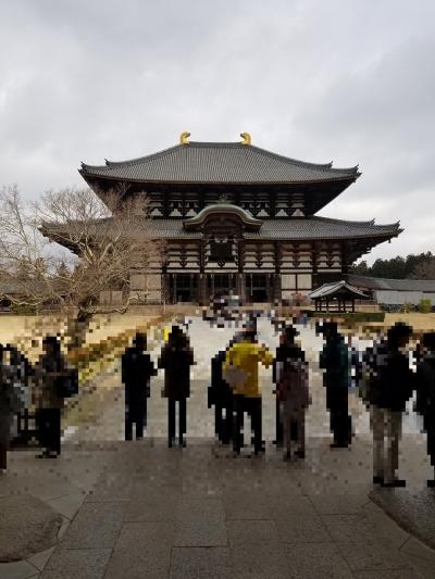 奈良　その１１