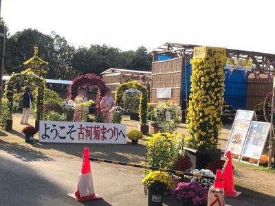 茨城・ネーブルパークの菊まつりと道の駅さかい2019①～菊まつり編～