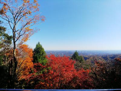 高尾山で紅葉狩り＆ミニBBQ