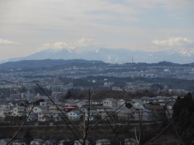 冬の散歩道　～　北国の春はまだ遠い県民の森を歩く　～