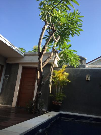 バリ島 何もしない一人旅 1日目