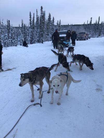 初めてのアラスカオーロラ旅行　2019年12月30 日