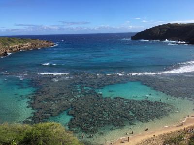 トランジットでハナウマ湾シュノーケリング　観光なし