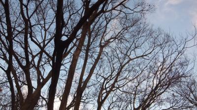 小寒の 夕暮れ雲に 時止める