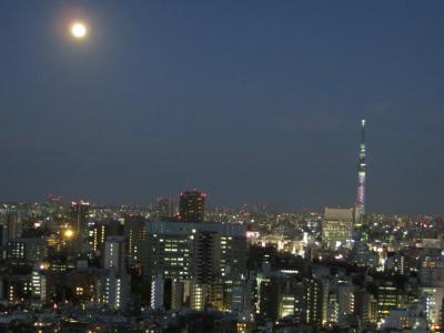 第2回東京観光20200110（2/3）