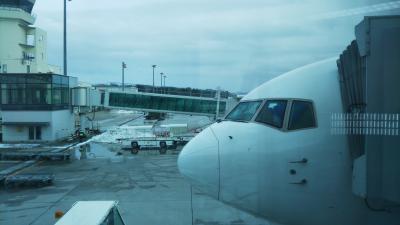 函館駅→函館空港→羽田空港☆２