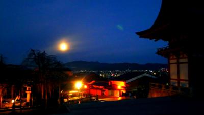 まさかの京都１人旅。ド素人、早朝寺巡りで再び迷子。