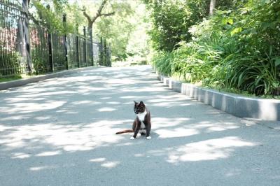 極東の町 ウラジオストク旅記