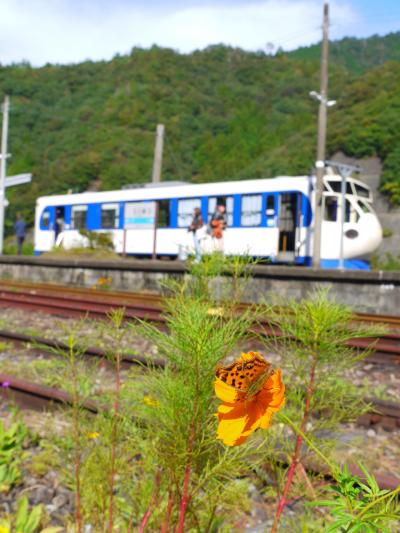 2019年10月　カツオが戻ってくるぞー！高知に集まれ(´▽｀)ﾉ（8）予土線おかわり！　土佐大正駅へ