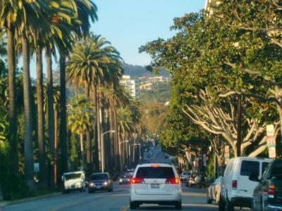 カリフォルニア州 ビバリーヒルズ　－　有名な高級住宅街