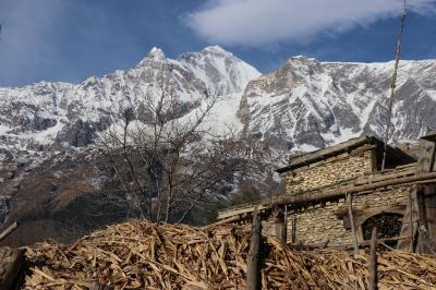 アンナプルナ　ジョムソン街道の旅（５）～ジープ旅２日目ー１　ナウリコット（タサンビレッジからのダウラギリの絶景）～