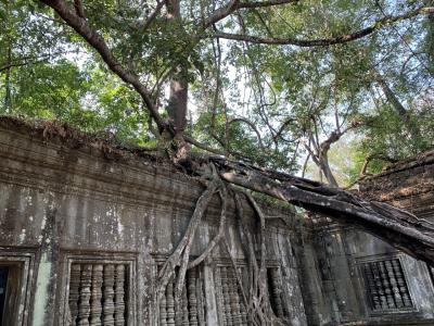 東南アジア世界遺産の旅カンボジア①